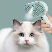 Cleaning Spray Brush
