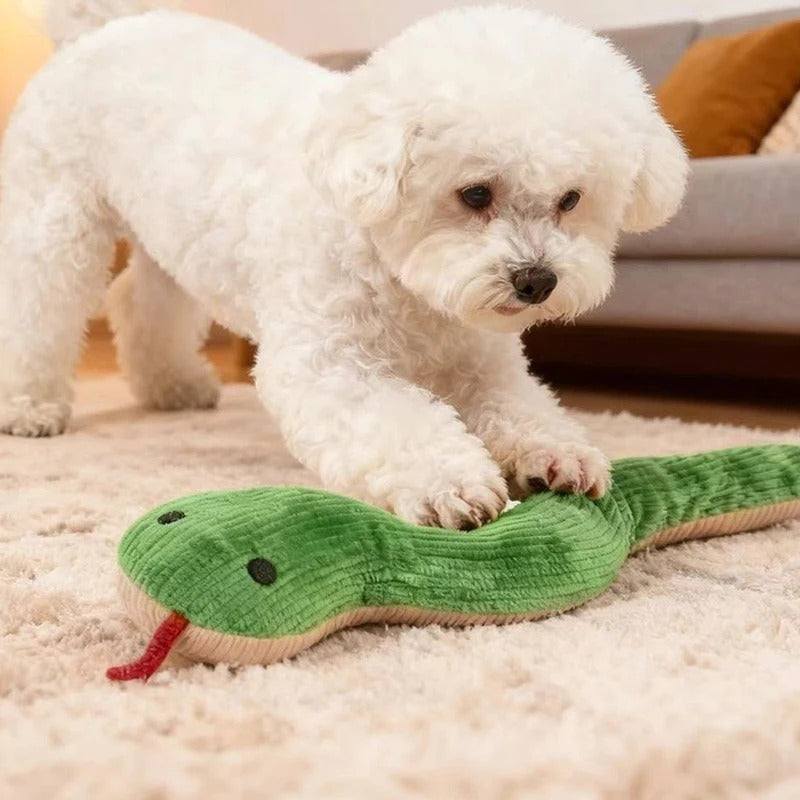 Snake Interactive Toy