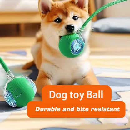 New Dog Interactive Ball Toy